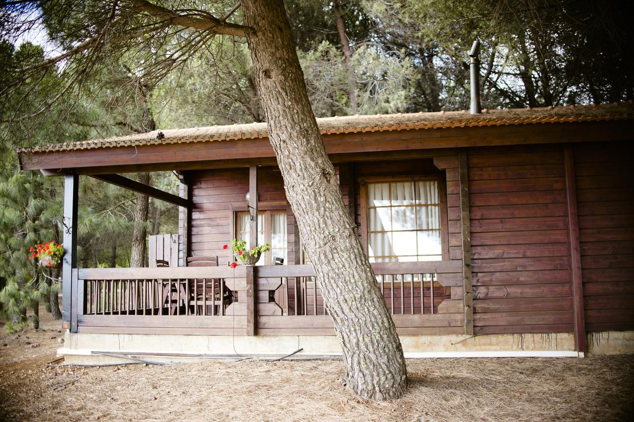 Отель Kibbutz Ortal Tourism Экстерьер фото